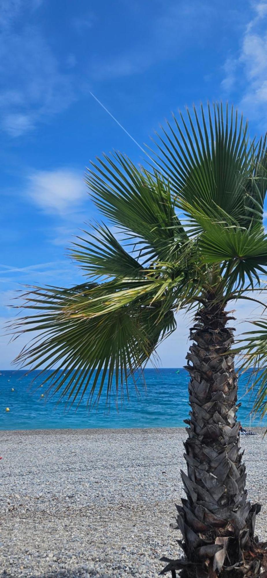 Studio Saint-Laurent-Du-Var Bord De Mer Екстер'єр фото